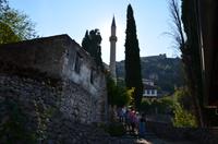 237 Poticelj &ndash; &copy; Konrad Füssel (Eberhardt TRAVEL)