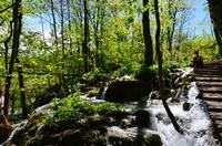 046 NP Plitvicer Seen &ndash; &copy; Konrad Füssel (Eberhardt TRAVEL)