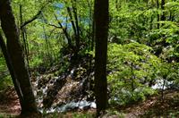 049 NP Plitvicer Seen &ndash; &copy; Konrad Füssel (Eberhardt TRAVEL)