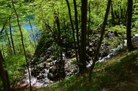 050 NP Plitvicer Seen &ndash; &copy; Konrad Füssel (Eberhardt TRAVEL)