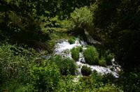 067 Krka Nationalpark &ndash; &copy; Konrad Füssel (Eberhardt TRAVEL)