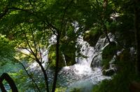 108 NP Plitvicer Seen &ndash; &copy; Konrad Füssel (Eberhardt TRAVEL)