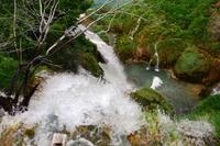152 NP Plitvicer Seen &ndash; &copy; Konrad Füssel (Eberhardt TRAVEL)