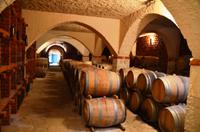 212 Potomje, Weingut Matusko &ndash; &copy; Konrad Füssel (Eberhardt TRAVEL)