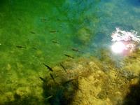 Krka - Nationalpark  &ndash; &copy; Steffen Mucke (Eberhardt TRAVEL)