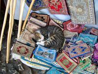 In Pocitelj  &ndash; &copy; Steffen Mucke (Eberhardt TRAVEL)