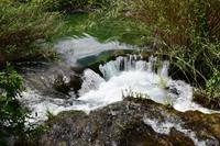 051 NP Krka &ndash; &copy; Konrad Füssel (Eberhardt TRAVEL)