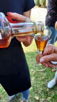 Singlereise Kroatien - Verkostung bei der Weinlese  &ndash; &copy; Franziska Bergmann (Eberhardt TRAVEL)