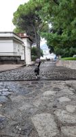 Singlereise Kroatien - im Urlaubsort Opatja &ndash; &copy; Franziska Bergmann (Eberhardt TRAVEL)