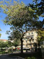 Zadar &ndash; &copy; Sylvia Sann (Eberhardt TRAVEL)