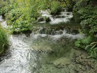 Plitwitzer Seen &ndash; &copy; Sylvia Sann (Eberhardt TRAVEL)