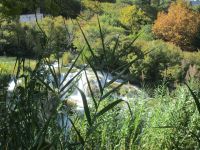 Krka-Nationalpark &ndash; &copy; Sylvia Sann (Eberhardt TRAVEL)