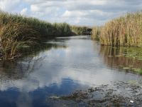 Schifffahrt im Neretva-Delta &ndash; &copy; Sylvia Sann (Eberhardt TRAVEL)