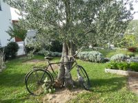 Stella Croatica &ndash; &copy; Kerstin Hugel (Eberhardt TRAVEL)