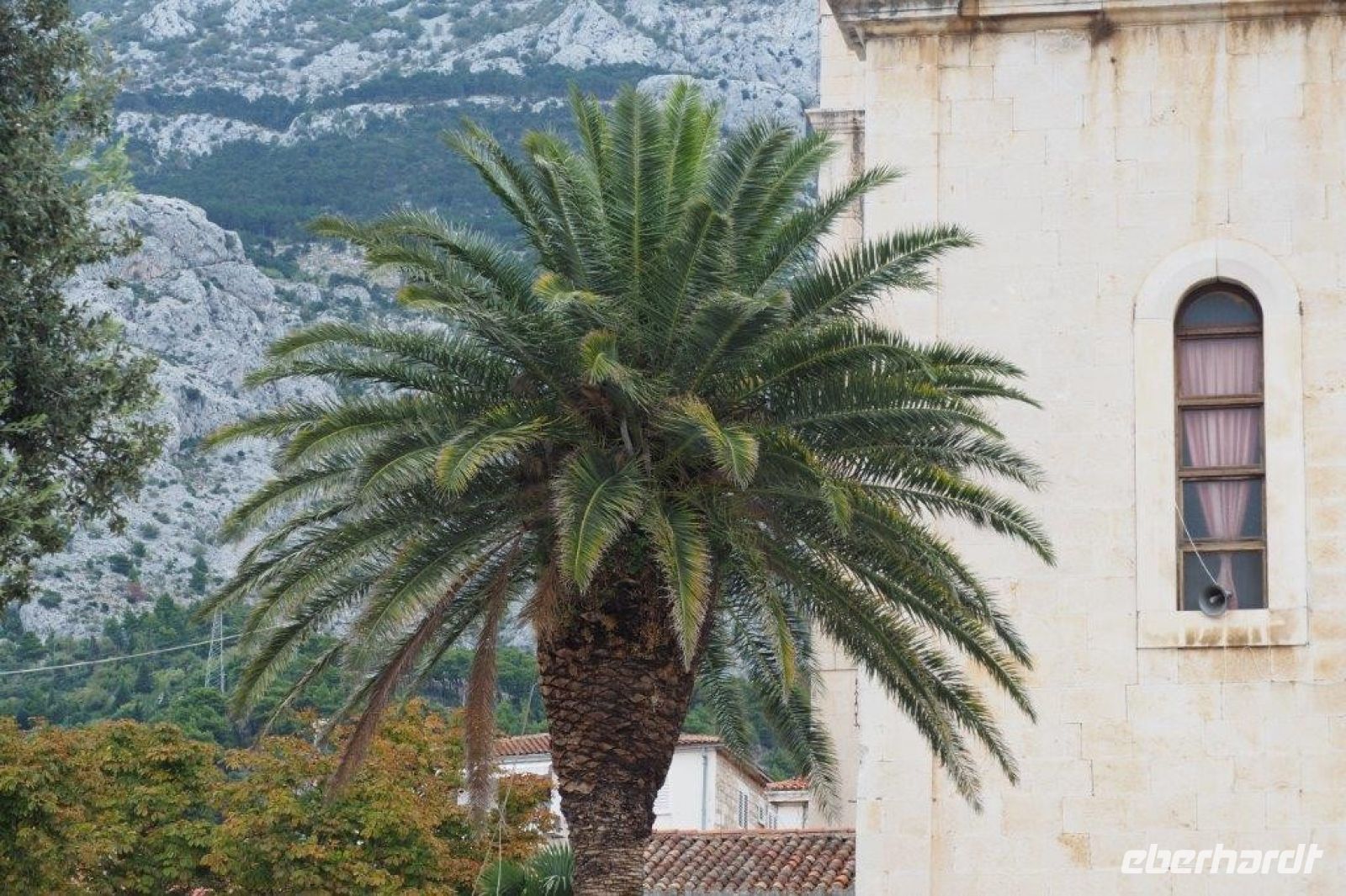 PA150018, Makarska  (1).jpg &ndash; &copy; Claudia Hartwich (Eberhardt TRAVEL)