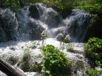 Plitvitzer Seen &ndash; &copy; Ingrid Langer (Eberhardt TRAVEL)