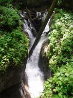 Teufelsklamm &ndash; &copy; Ingrid Langer (Eberhardt TRAVEL)