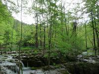Plitvicer Seen &ndash; &copy; Konrad Füssel (Eberhardt TRAVEL)
