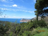 Blick auf Dubrovnik