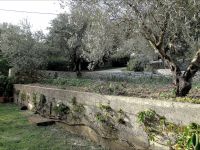 Gemüsegarten &ndash; &copy; Heike Meinhold (Eberhardt TRAVEL)