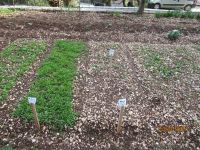 Gemüsegarten &ndash; &copy; Heike Meinhold (Eberhardt TRAVEL)