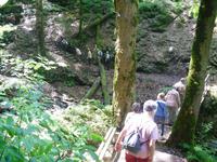 in der Felsschlucht