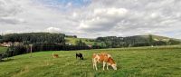 Landidylle in Semriach &ndash; &copy; Simone Willner (Eberhardt TRAVEL)