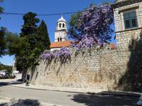 Cavtat &ndash; &copy; Ralf Kuchenbecker (Eberhardt TRAVEL)