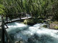 Fluss Ljuta &ndash; &copy; Ralf Kuchenbecker (Eberhardt TRAVEL)