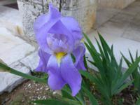 Insel Kolocep &ndash; &copy; Ralf Kuchenbecker (Eberhardt TRAVEL)
