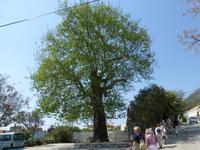 Orašac &ndash; &copy; Ralf Kuchenbecker (Eberhardt TRAVEL)