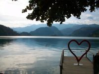 Bled