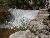 NTP Plitvicer Seen &ndash; &copy; Ingrid Langer (Eberhardt TRAVEL)