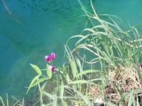 NTP Plitvicer Seen &ndash; &copy; Ingrid Langer (Eberhardt TRAVEL)