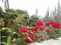 Insel Visovac &ndash; &copy; Ingrid Langer (Eberhardt TRAVEL)