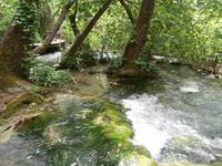 im NTP Krka &ndash; &copy; Ingrid Langer (Eberhardt TRAVEL)
