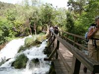 im NTP Krka &ndash; &copy; Ingrid Langer (Eberhardt TRAVEL)