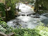 im NTP Krka &ndash; &copy; Ingrid Langer (Eberhardt TRAVEL)