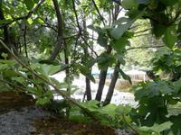 im NTP Krka &ndash; &copy; Ingrid Langer (Eberhardt TRAVEL)
