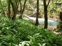 Ausflug Zeleni Vir &ndash; &copy; Ingrid Langer (Eberhardt TRAVEL)