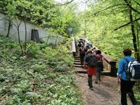 Ausflug Zeleni Vir &ndash; &copy; Ingrid Langer (Eberhardt TRAVEL)