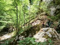 Wanderung Teufelsklamm &ndash; &copy; Ingrid Langer (Eberhardt TRAVEL)