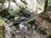 Wanderung Teufelsklamm &ndash; &copy; Ingrid Langer (Eberhardt TRAVEL)