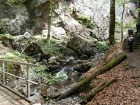 Wanderung Teufelsklamm &ndash; &copy; Ingrid Langer (Eberhardt TRAVEL)