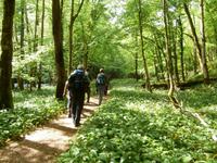 Zeleni Vir-am Bach Curak &ndash; &copy; Ingrid Langer (Eberhardt TRAVEL)