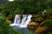 193 Krka NP