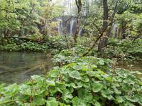 Plittwitzer Seen &ndash; &copy; Ingrid Langer (Eberhardt TRAVEL)