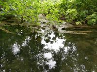 im NTP Krka Wasserfälle-Skradinski buk