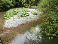 Weg zum Wasserfall