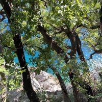 Türkisfarbenes Wasser &ndash; &copy; Manuel Gonzalez Urrutia (Eberhardt TRAVEL)
